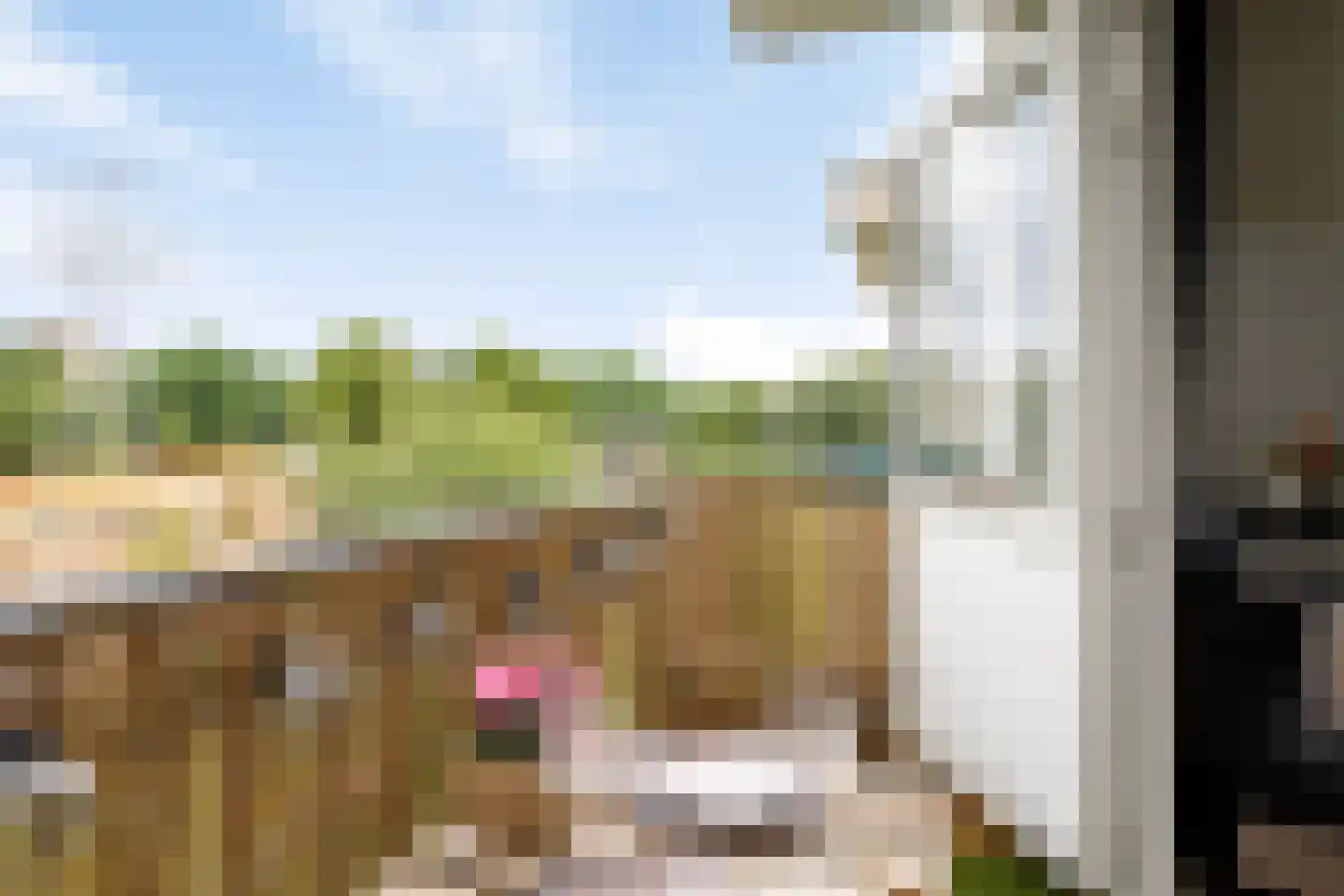 Ranonkellaan 72 2 Ede thumbnail 21