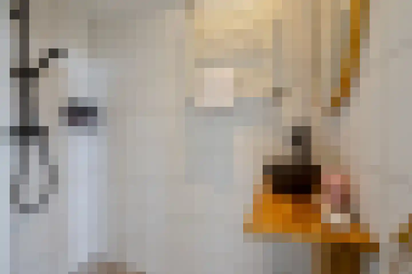Ranonkellaan 72 2 Ede thumbnail 22