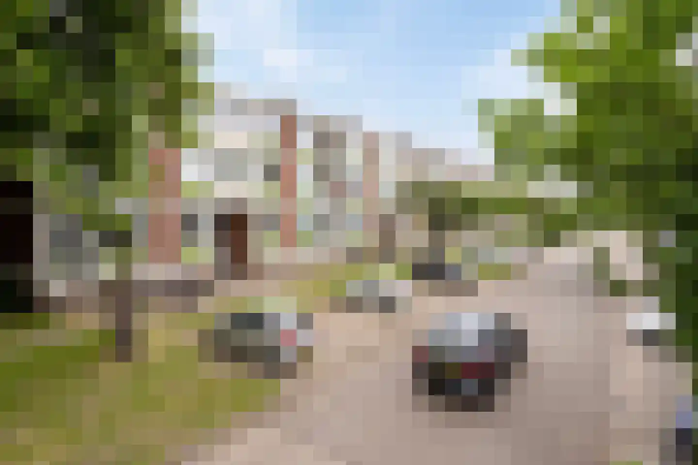 Ranonkellaan 72 2 Ede thumbnail 36