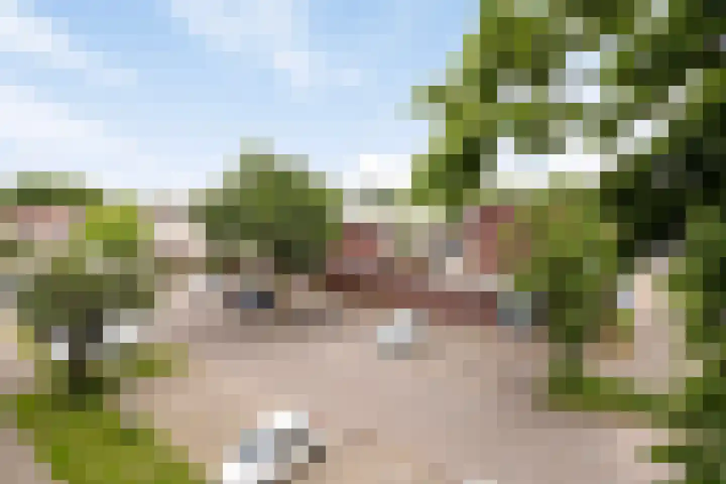Ranonkellaan 72 2 Ede thumbnail 38