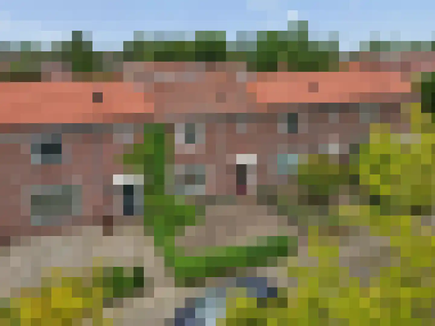 Ranonkellaan 9 in Ede
