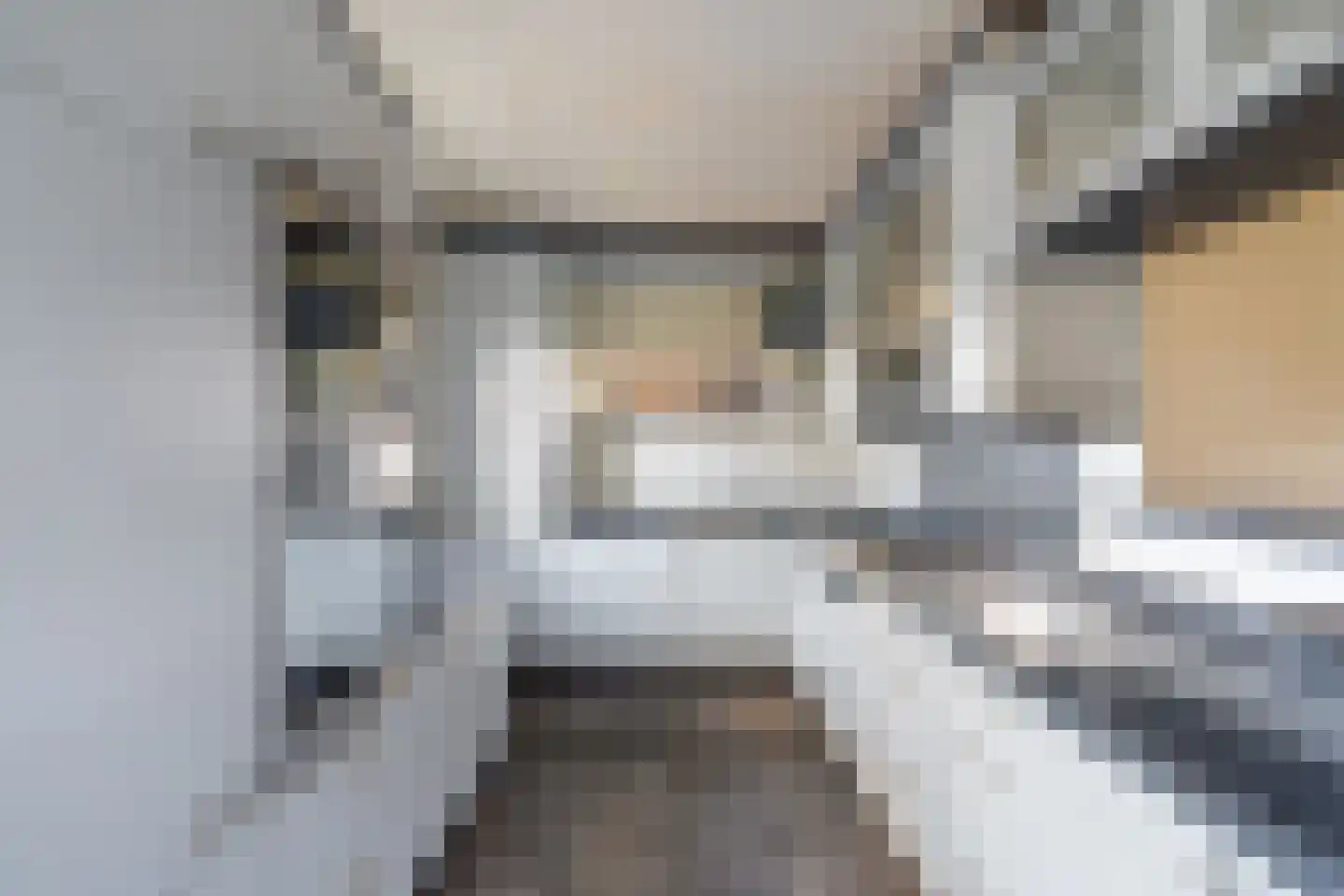 Ranonkelpad 7 Berkel en Rodenrijs thumbnail 16
