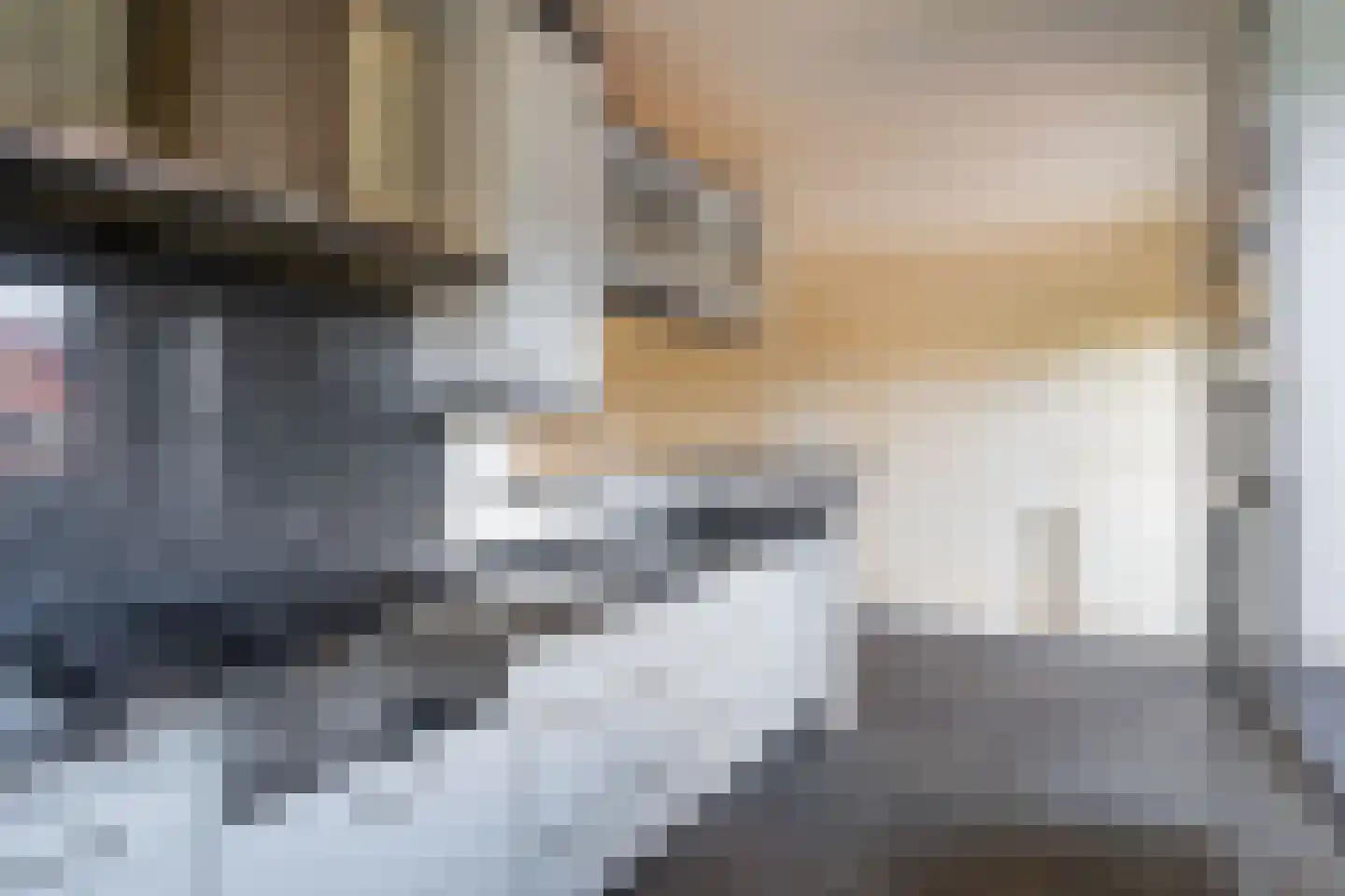 Ranonkelpad 7 Berkel en Rodenrijs thumbnail 17