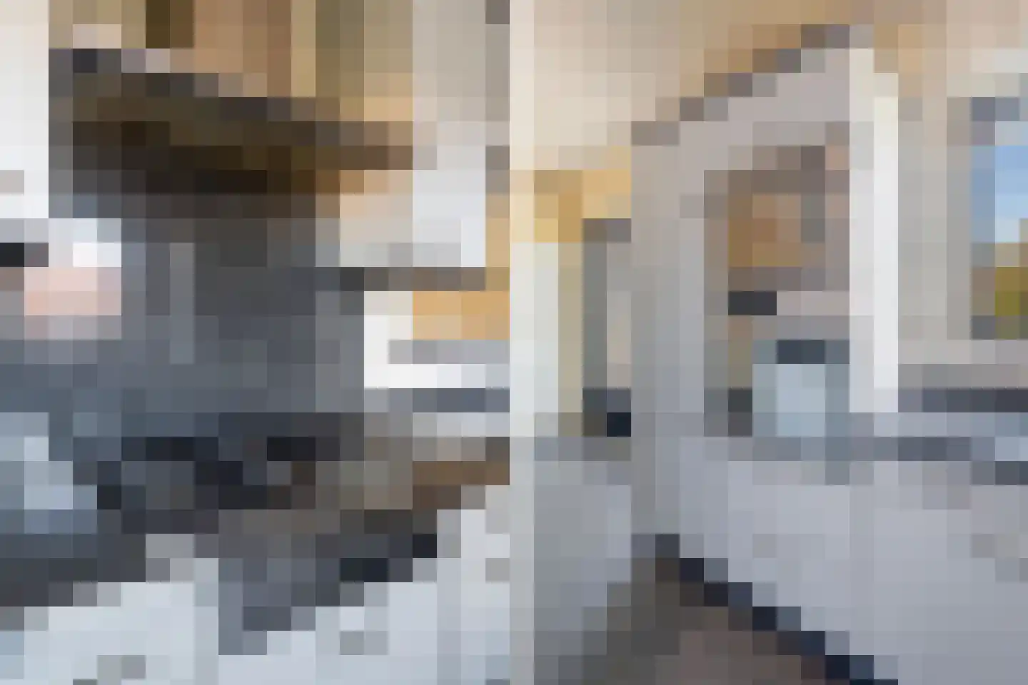 Ranonkelpad 7 Berkel en Rodenrijs thumbnail 18