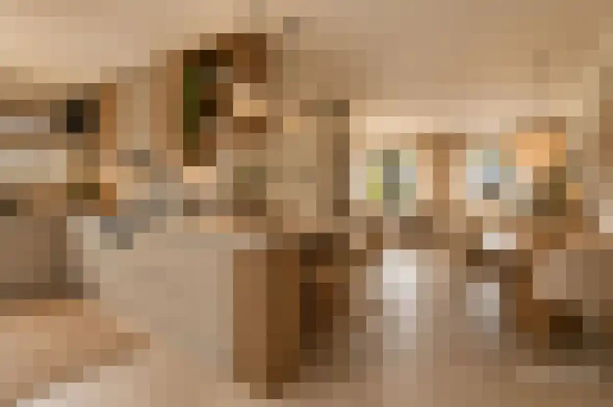 Ranonkelpad 7 Berkel en Rodenrijs thumbnail 19