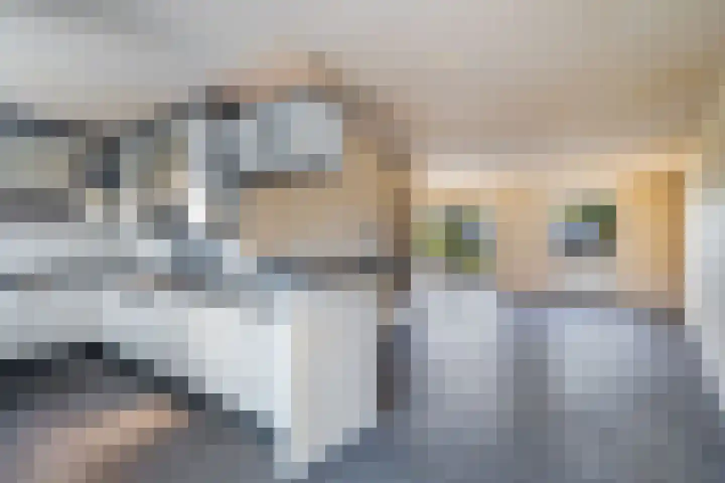 Ranonkelpad 7 Berkel en Rodenrijs thumbnail 20