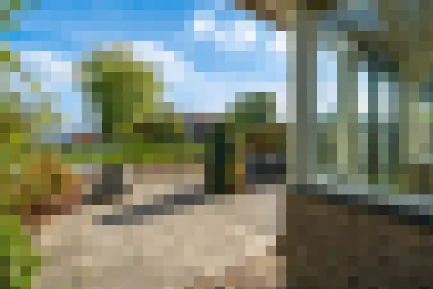 Ranonkelpad 7 Berkel en Rodenrijs thumbnail 21