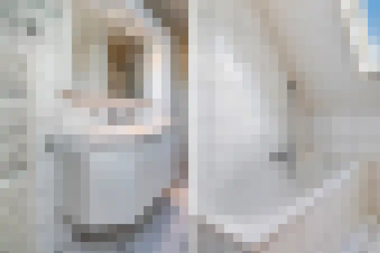 Ranonkelpad 7 Berkel en Rodenrijs thumbnail 31