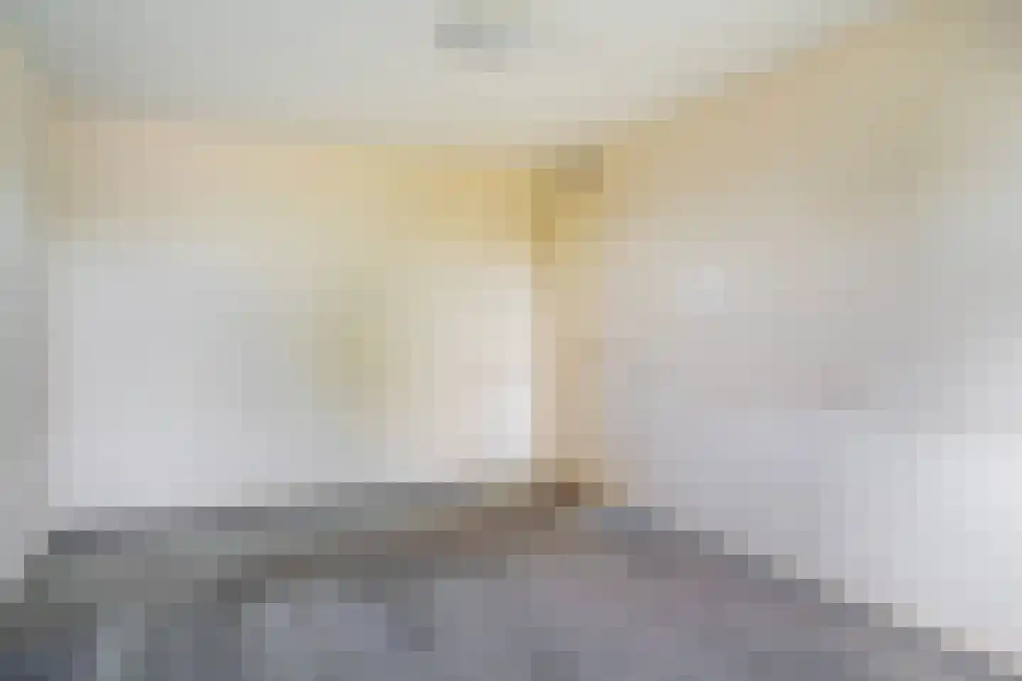 Ranonkelpad 7 Berkel en Rodenrijs thumbnail 35