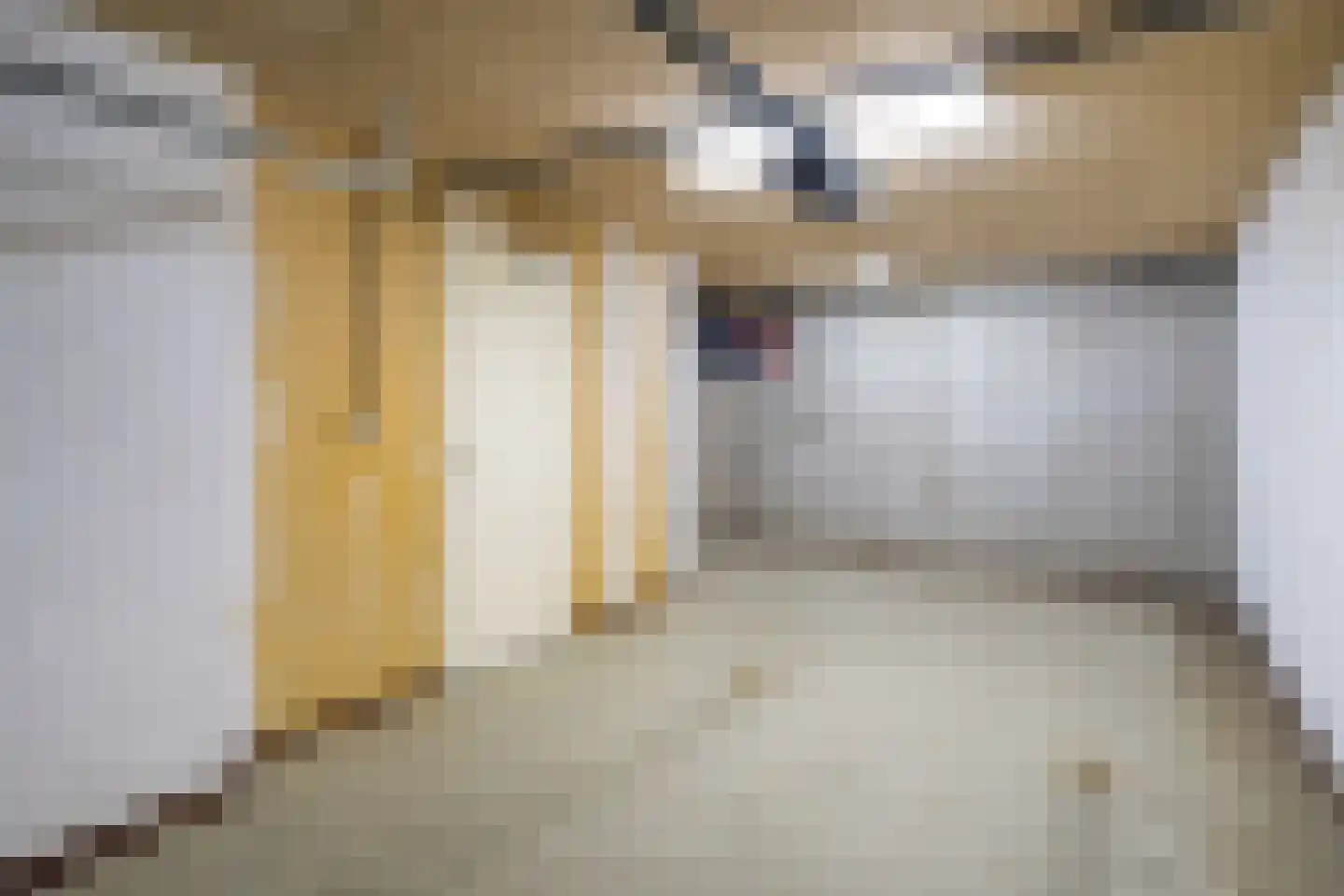 Ranonkelpad 7 Berkel en Rodenrijs thumbnail 43