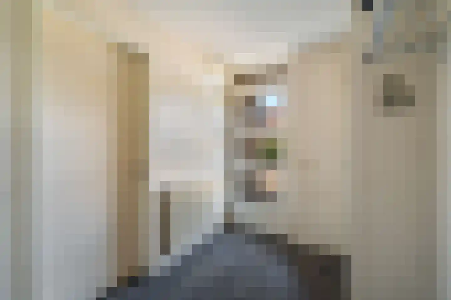 Ranonkelpad 7 Berkel en Rodenrijs thumbnail 8