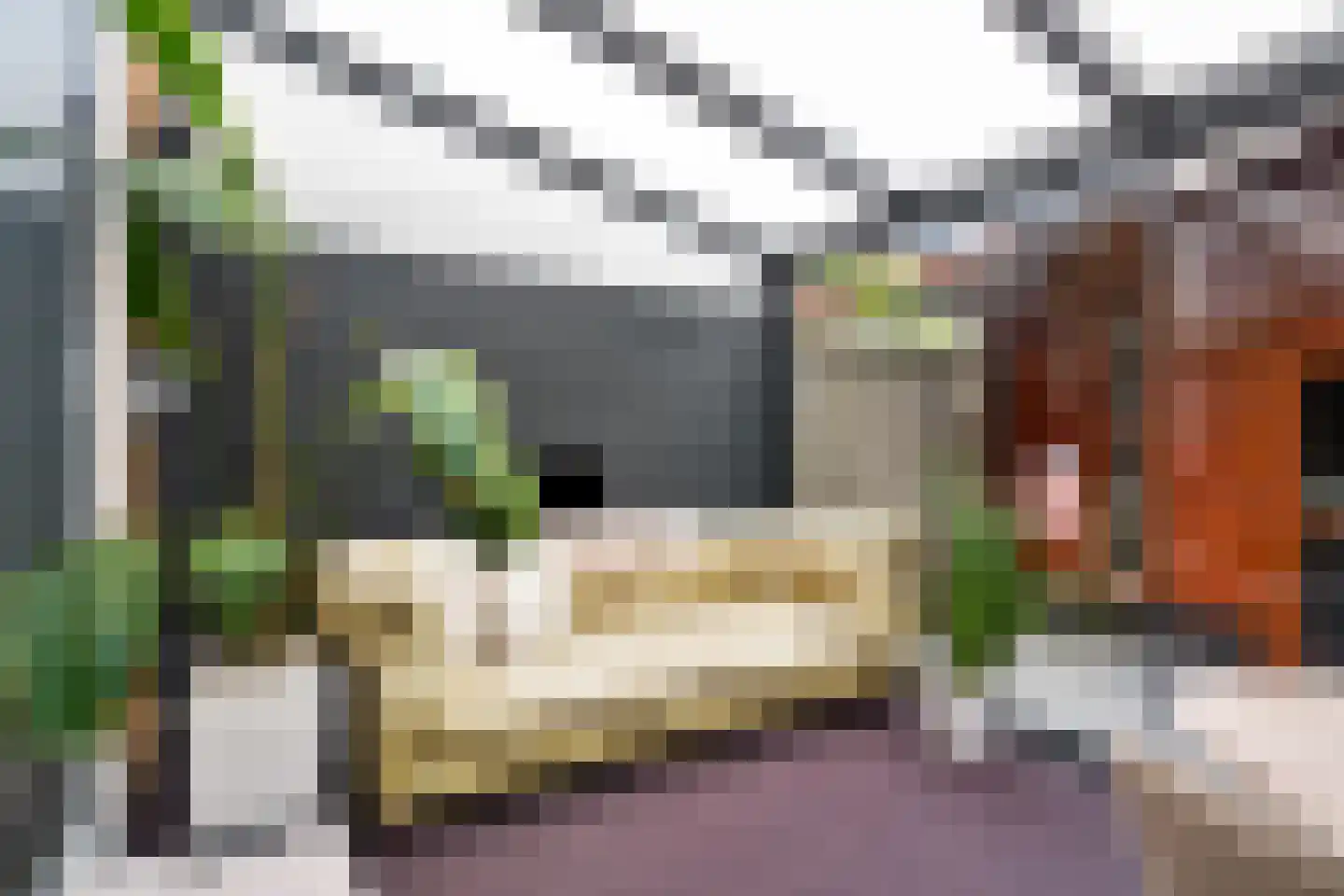 Ranonkelplantsoen 15 Gouda thumbnail 34