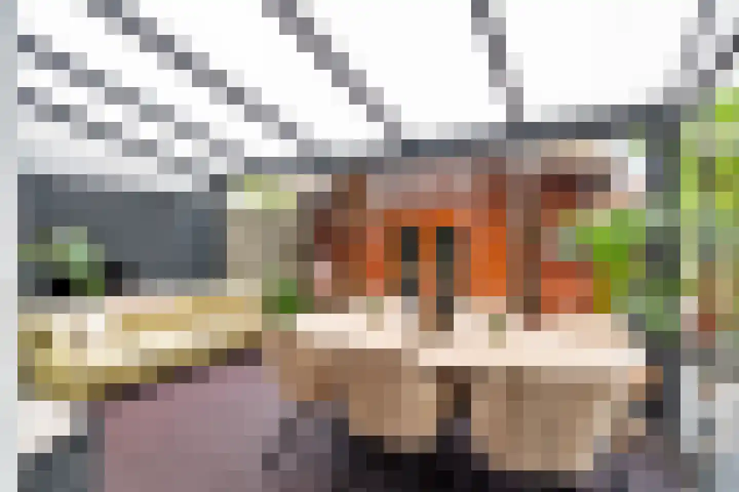 Ranonkelplantsoen 15 Gouda thumbnail 36