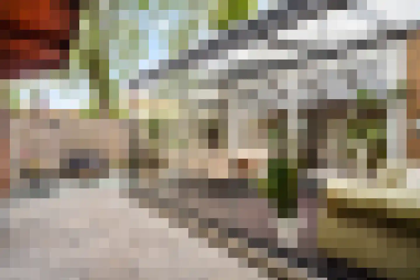 Ranonkelplantsoen 15 Gouda thumbnail 38