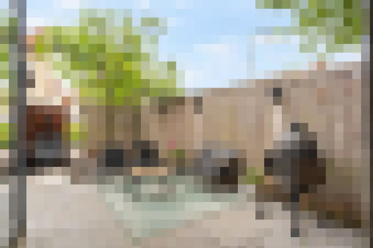 Ranonkelplantsoen 15 Gouda thumbnail 39