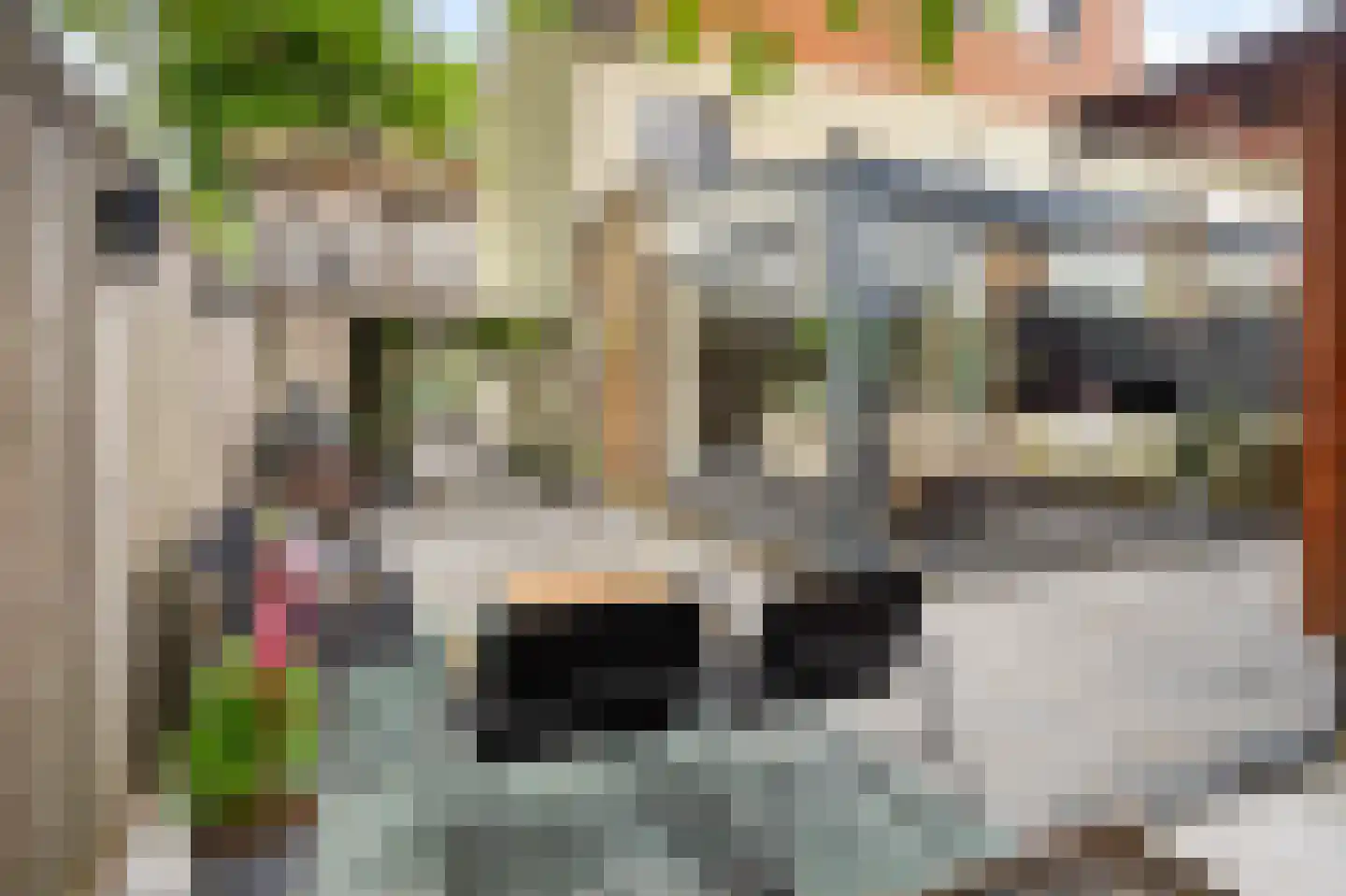Ranonkelplantsoen 15 Gouda thumbnail 40