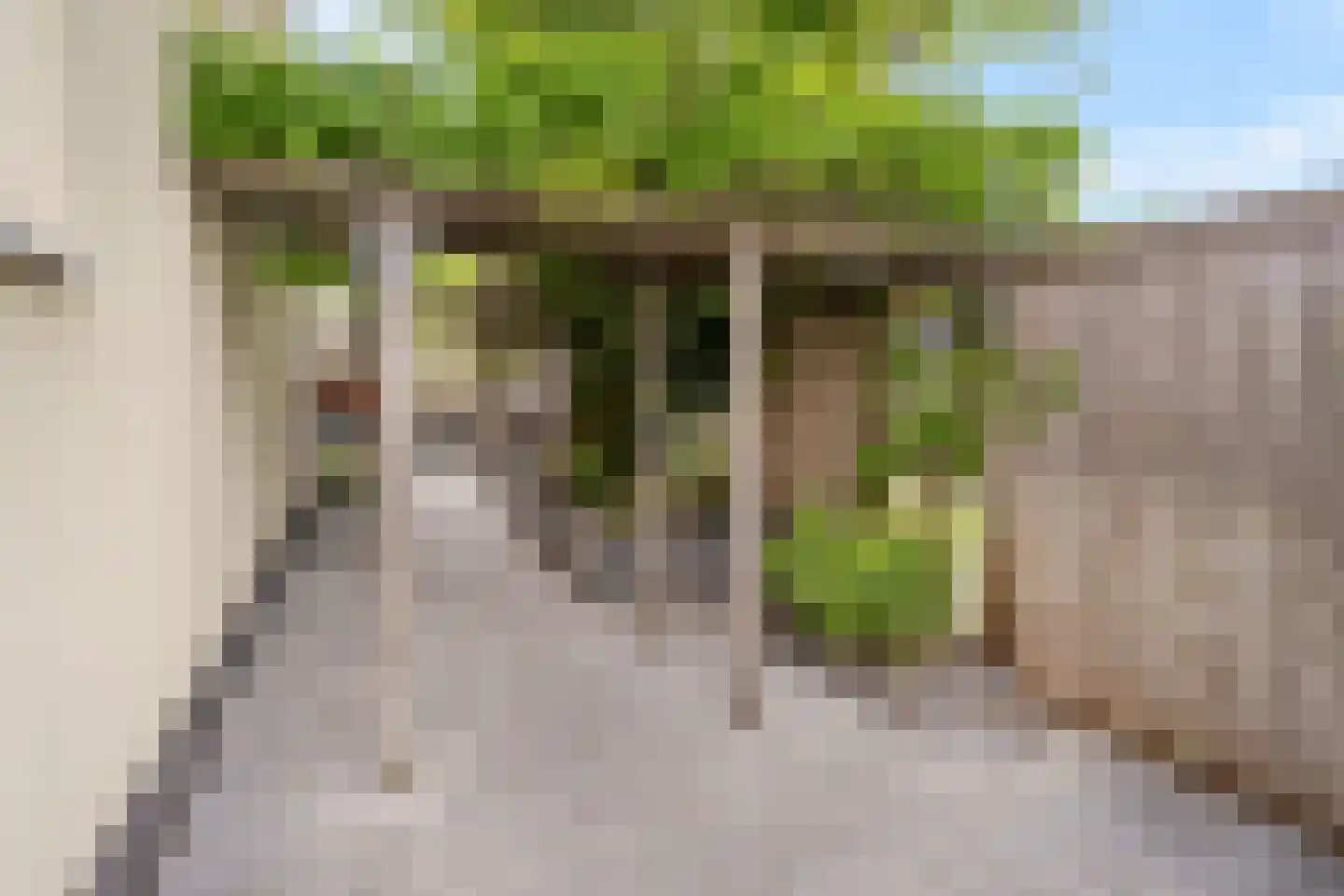 Ranonkelplantsoen 15 Gouda thumbnail 41