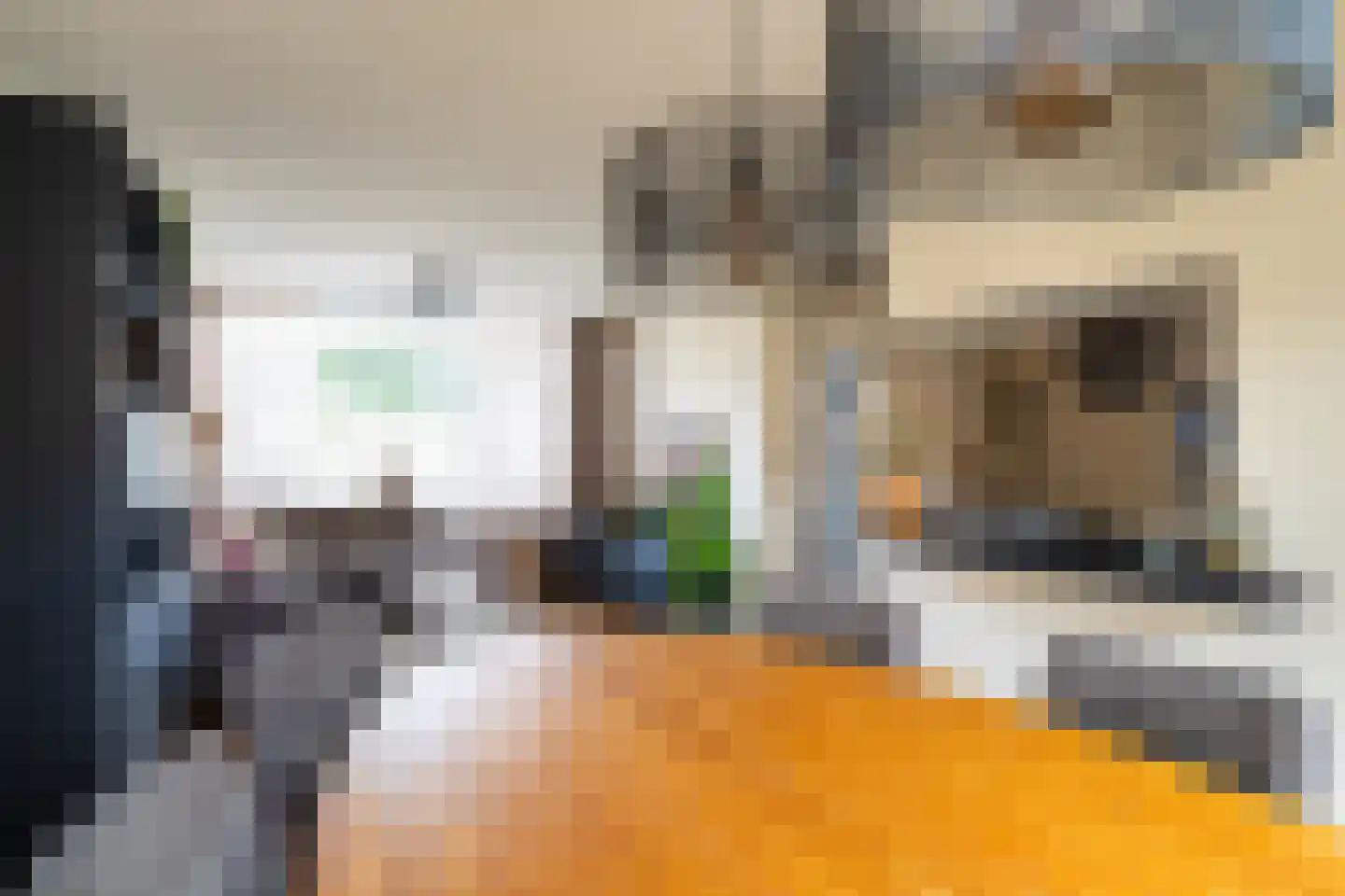 Ranonkelstraat 12 Waalwijk thumbnail 11