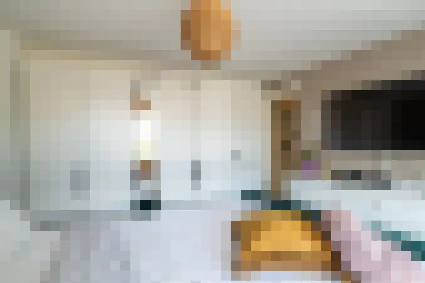 Ranonkelstraat 12 Waalwijk thumbnail 16