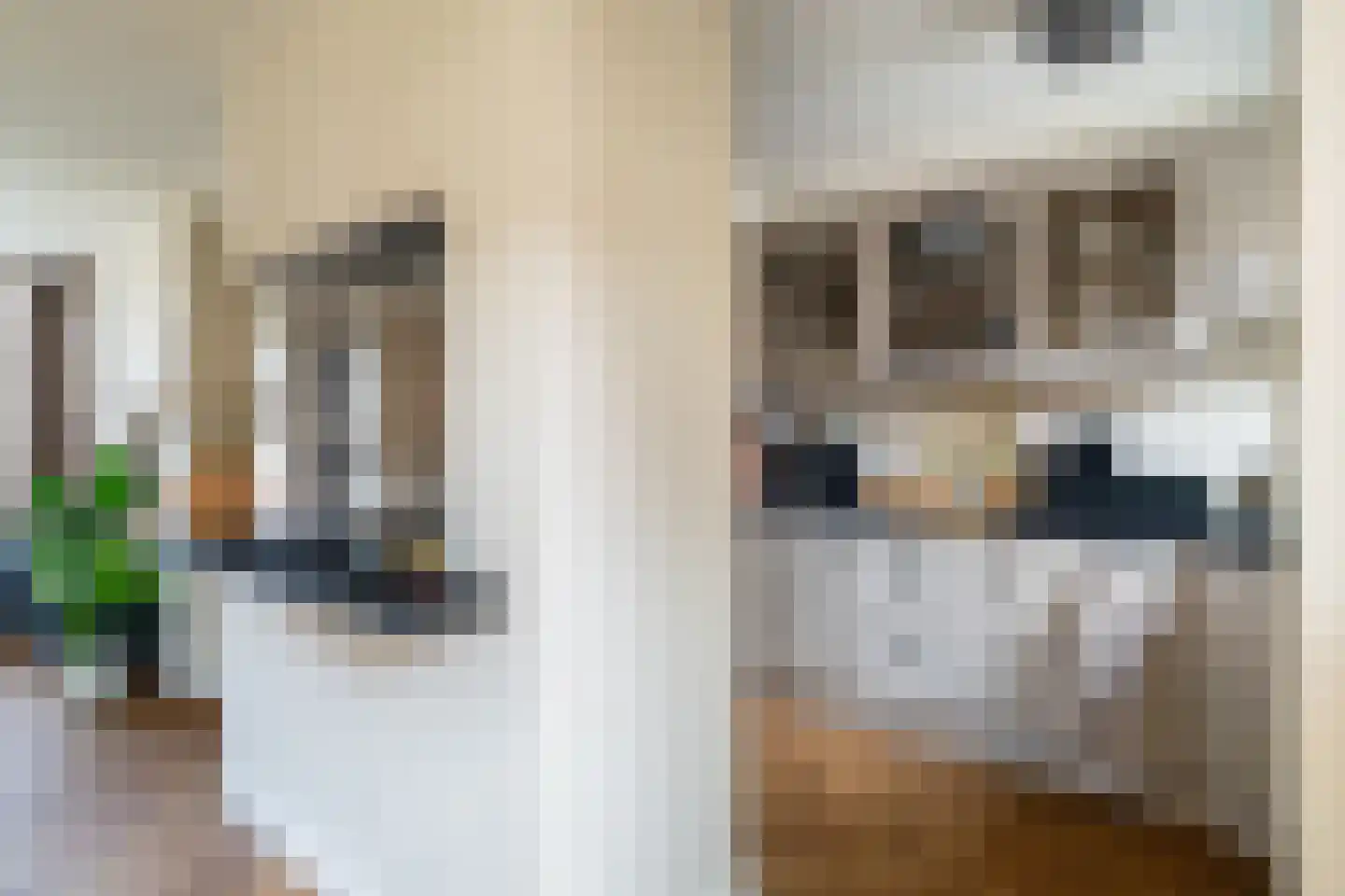 Ranonkelstraat 12 Waalwijk thumbnail 8