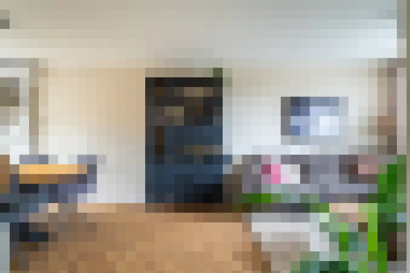 Ranonkelstraat 12 Waalwijk thumbnail 9