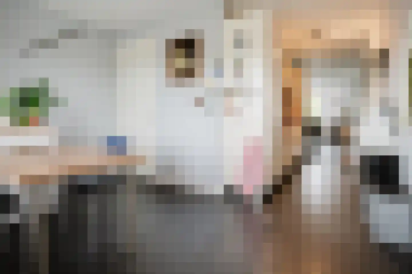 Ranonkelstraat 129 Spijkenisse thumbnail 12