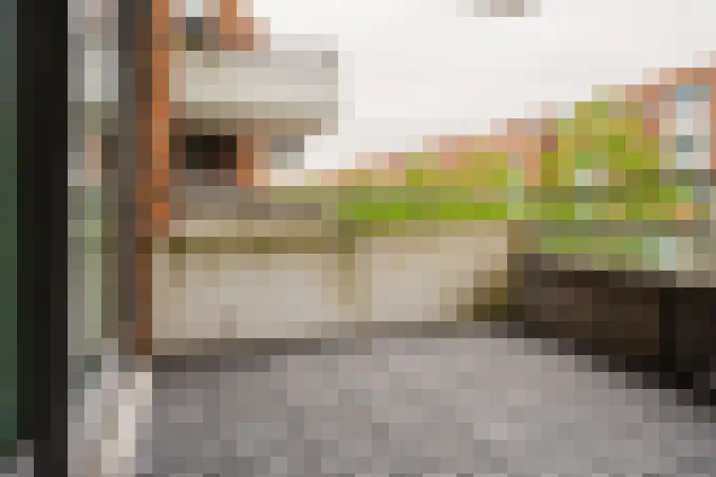 Ranonkelstraat 129 Spijkenisse thumbnail 15