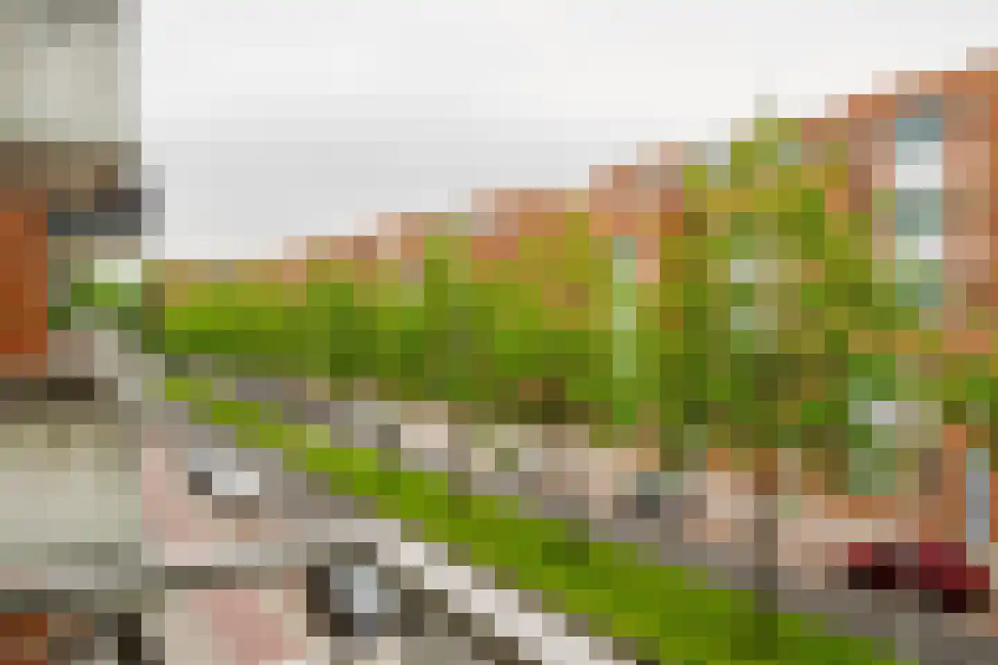 Ranonkelstraat 129 Spijkenisse thumbnail 17