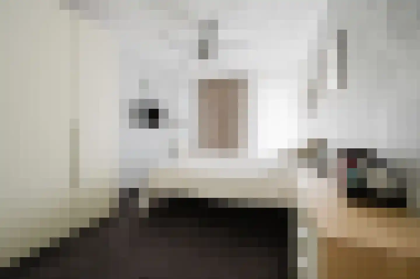 Ranonkelstraat 129 Spijkenisse thumbnail 19