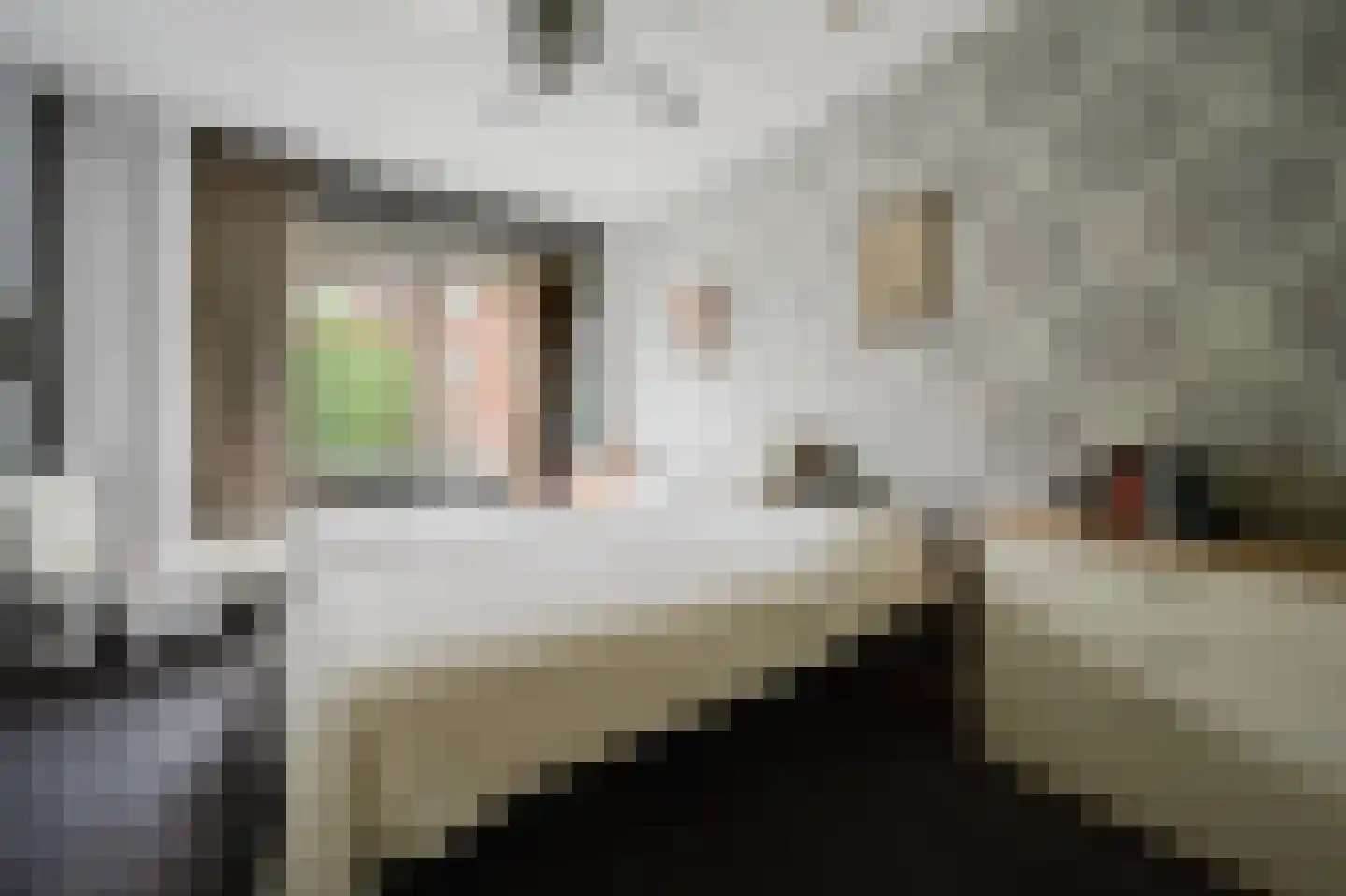 Ranonkelstraat 129 Spijkenisse thumbnail 5