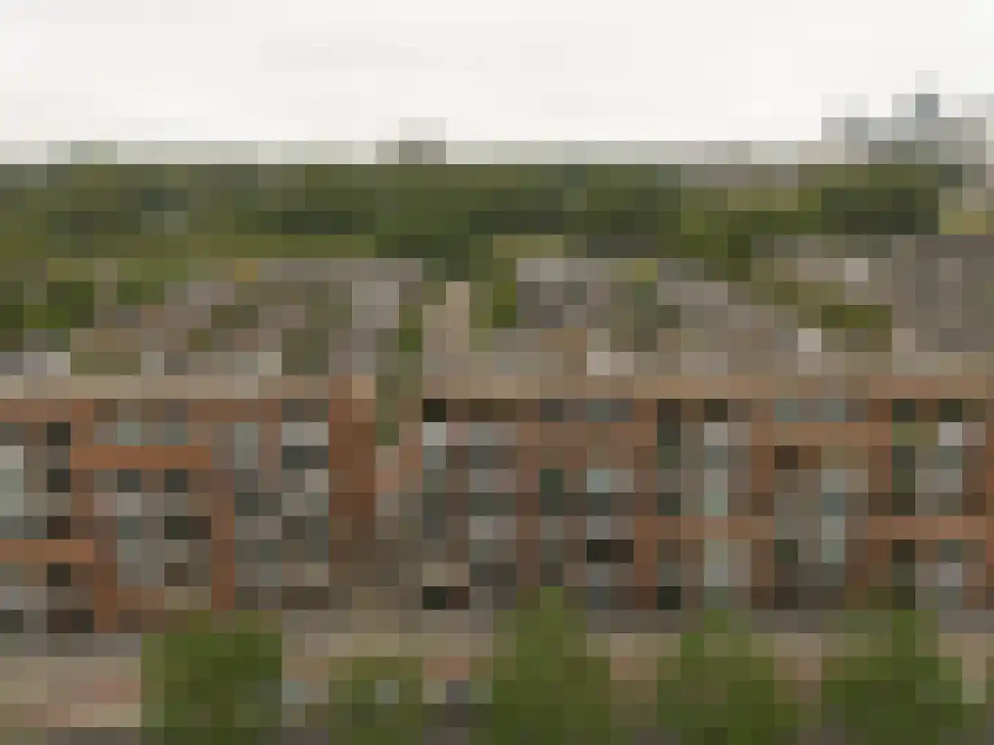 Ranonkelstraat 129 Spijkenisse thumbnail 6