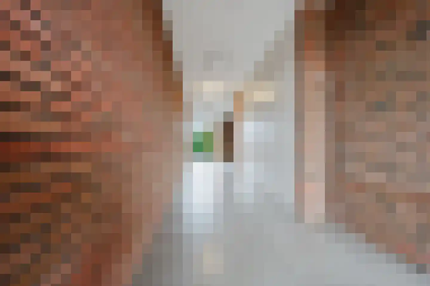 Ranonkelstraat 129 Spijkenisse thumbnail 9