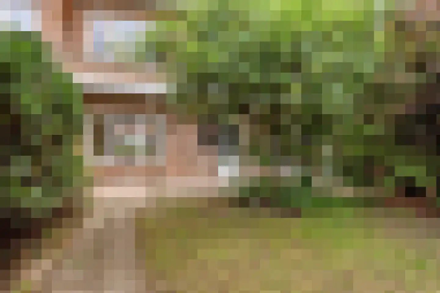 Ranonkelstraat 13 1 Arnhem thumbnail 23