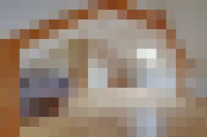 Ranonkelstraat 13 Swifterbant thumbnail 4