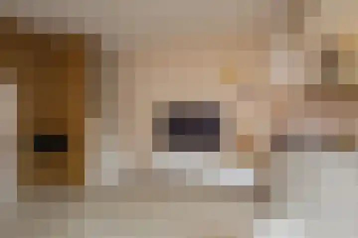 Ranonkelstraat 14 Santpoort-Noord thumbnail 10
