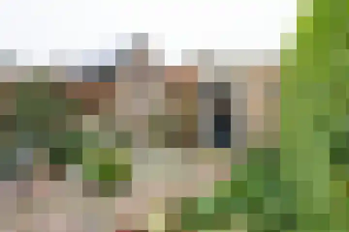 Ranonkelstraat 15 Bleskensgraaf ca thumbnail 4