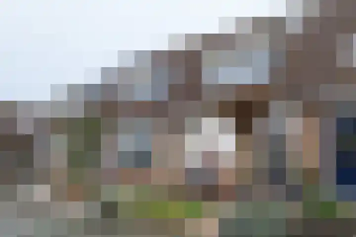 Ranonkelstraat 15 Bleskensgraaf ca thumbnail 5
