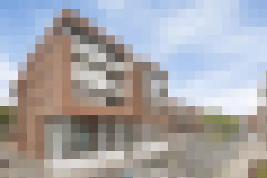 Ranonkelstraat 153 Spijkenisse thumbnail 23