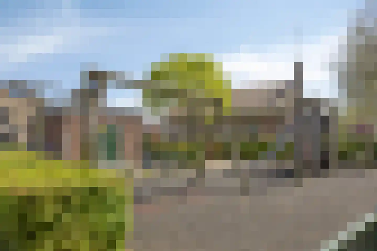Ranonkelstraat 153 Spijkenisse thumbnail 25