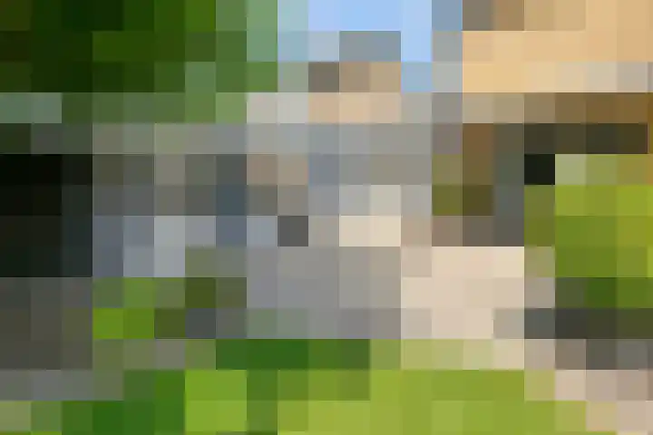 Ranonkelstraat 16 Didam thumbnail 12