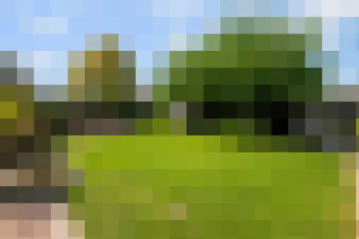 Ranonkelstraat 16 Didam thumbnail 17