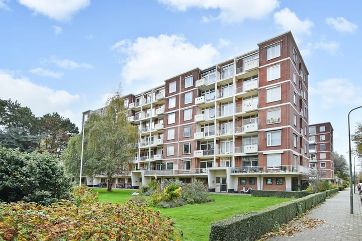 Ranonkelstraat 171 en 's-Gravenhage foto