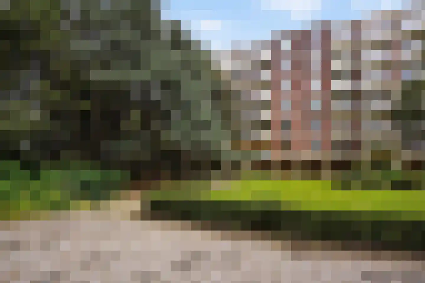 Ranonkelstraat 171 Den Haag thumbnail 6