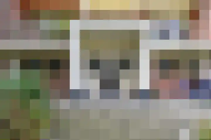 Ranonkelstraat 171 Den Haag thumbnail 7