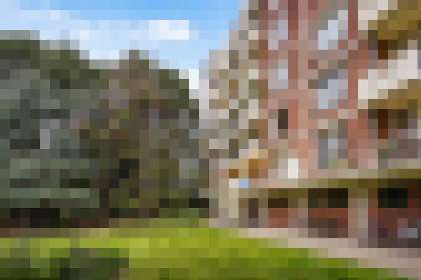 Ranonkelstraat 171 Den Haag thumbnail 9