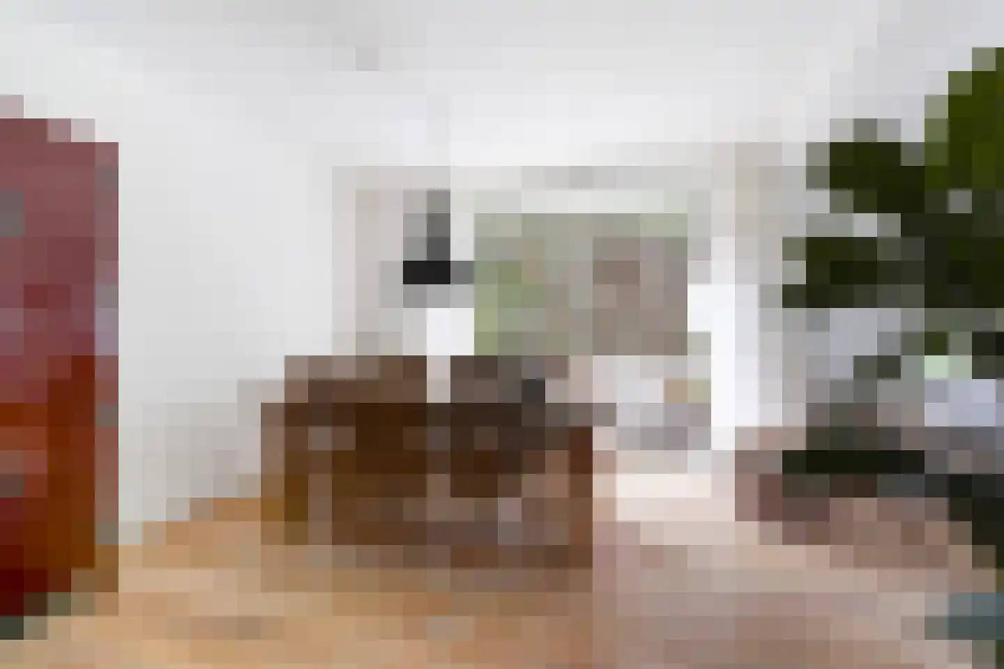 Ranonkelstraat 189 Den Haag thumbnail 7