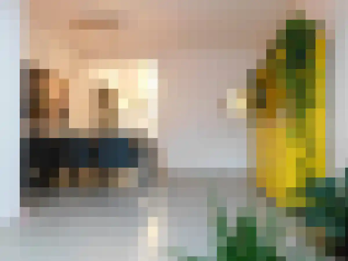 Ranonkelstraat 19 Breda thumbnail 5