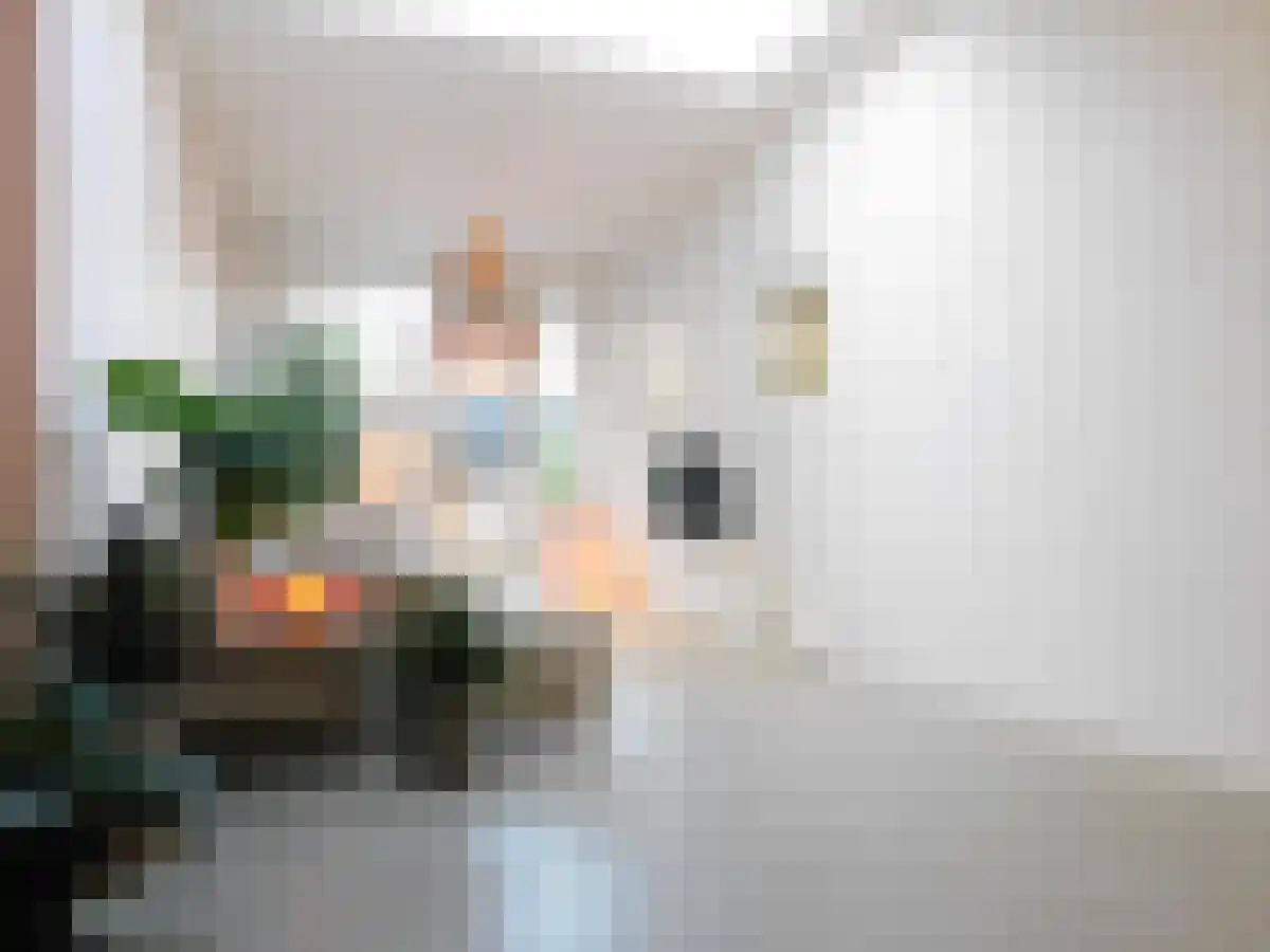 Ranonkelstraat 19 Breda thumbnail 6