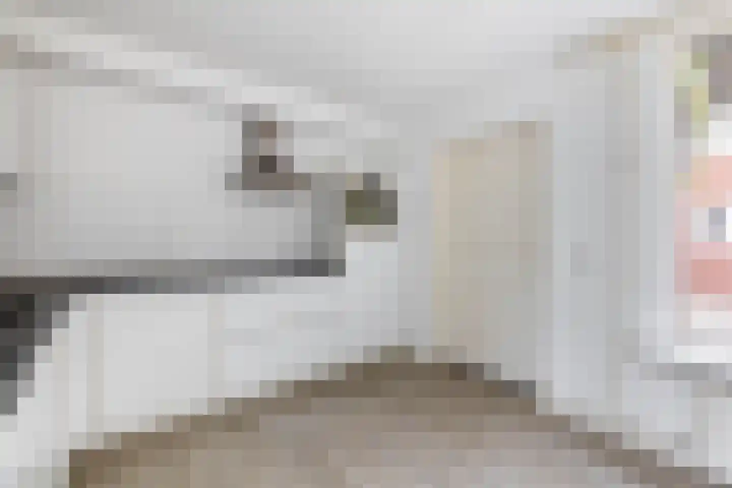 Ranonkelstraat 19 Waalwijk thumbnail 10