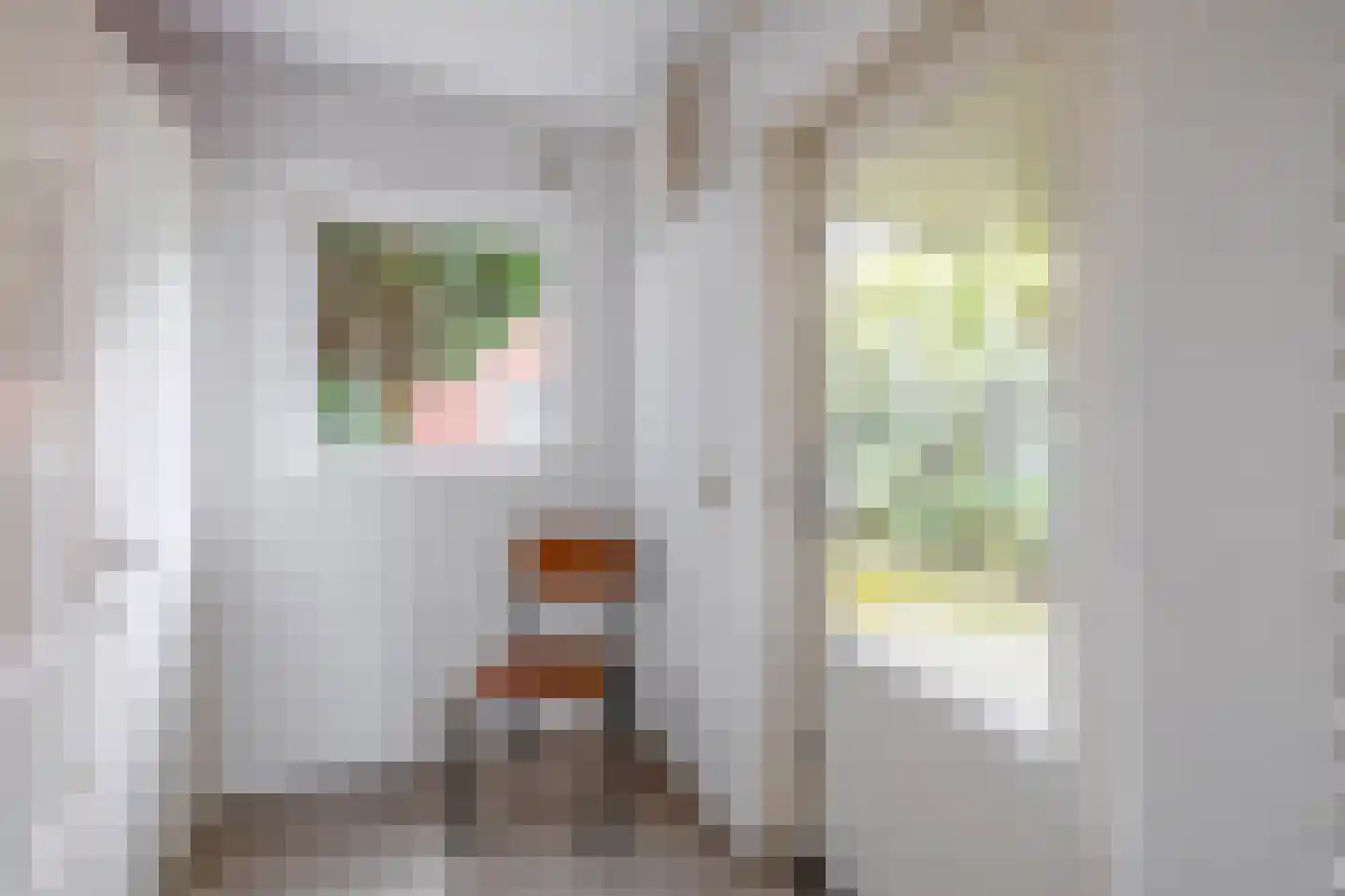 Ranonkelstraat 19 Waalwijk thumbnail 14